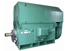 YR5004-6Y系列6KV高压电机